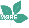 MORE